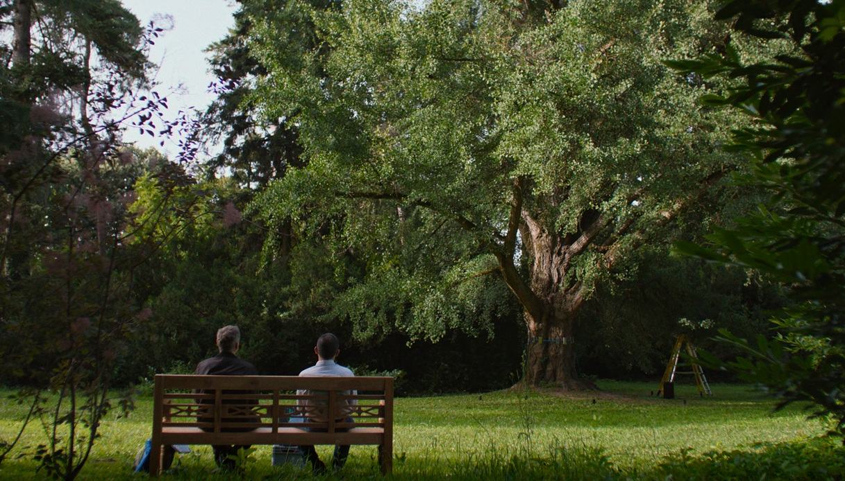 Tra i luoghi dov'&egrave; girato il film "Silent Friend" c'&egrave; l'orto botanico di Marburgo 