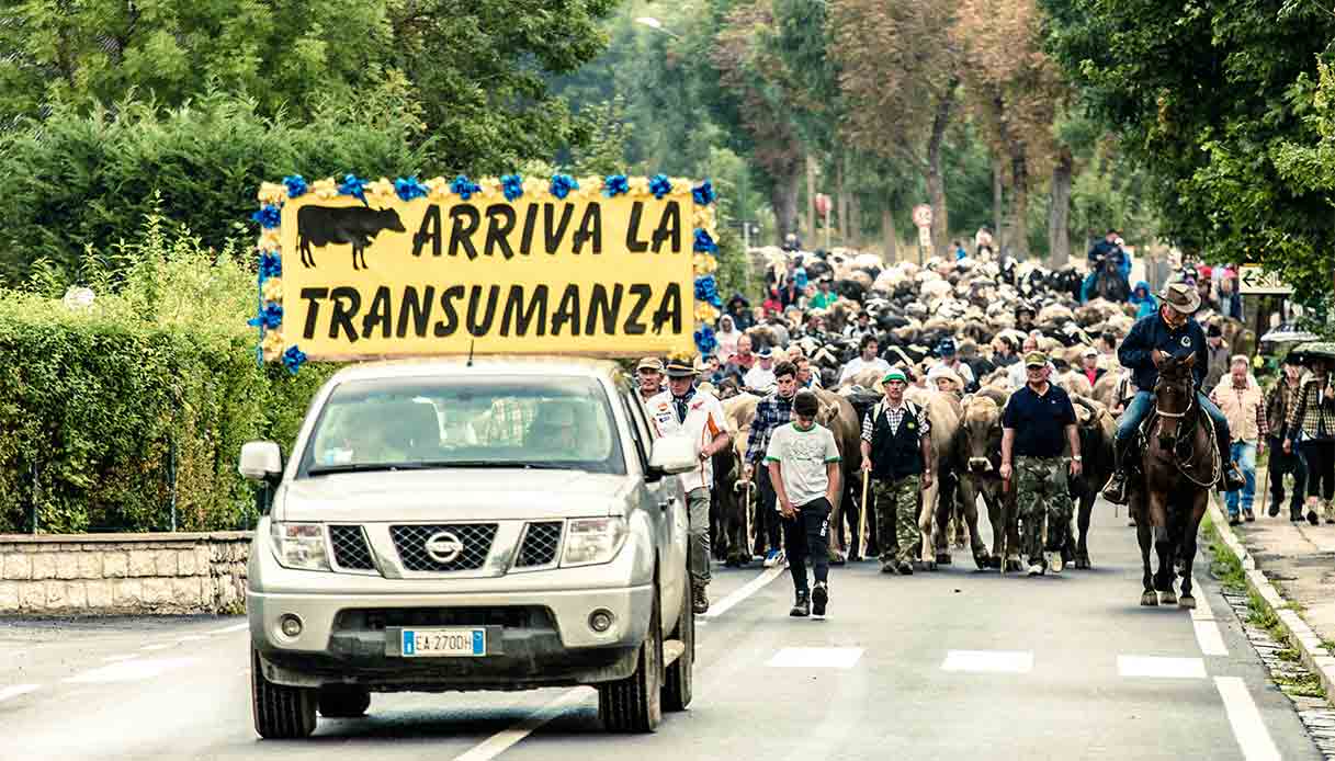transumanza-Bressanvido