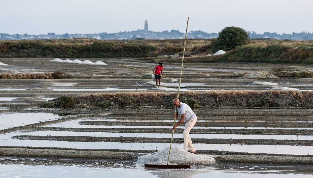 Ci sono anche le saline di Guérande tra le location di "Un mondo meraviglioso"