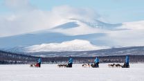 Attraversare l’Artico in slitta trainata dai cani: l’avventura da vivere nel 2027