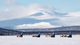 Attraversare l’Artico in slitta trainata dai cani: l’avventura da vivere nel 2027