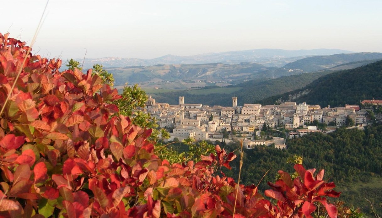 Borgo di Arcevia
