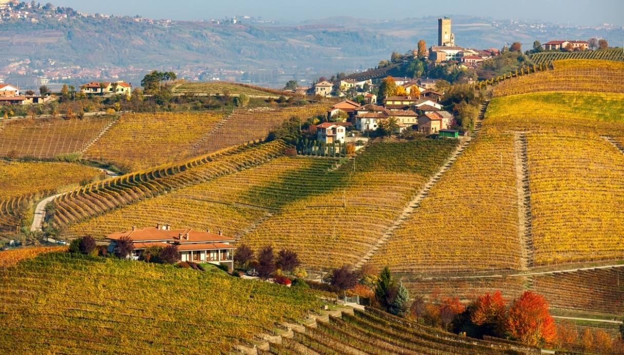 Barbaresco e la sua torre