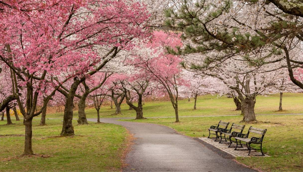 Il Branch Brook Park in primavera