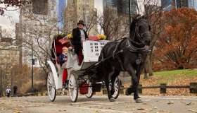 Un’icona di New York che compare in tanti film potrebbe non esistere più