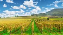 Dal vino sardo ai sapori di Creta, ecco i vincitori del Travel Food Award 2026