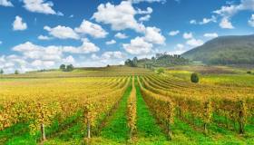 Dal vino sardo ai sapori di Creta, ecco i vincitori del Travel Food Award 2026