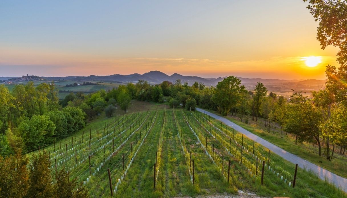 Tramonto sui vigneti del Monferrato