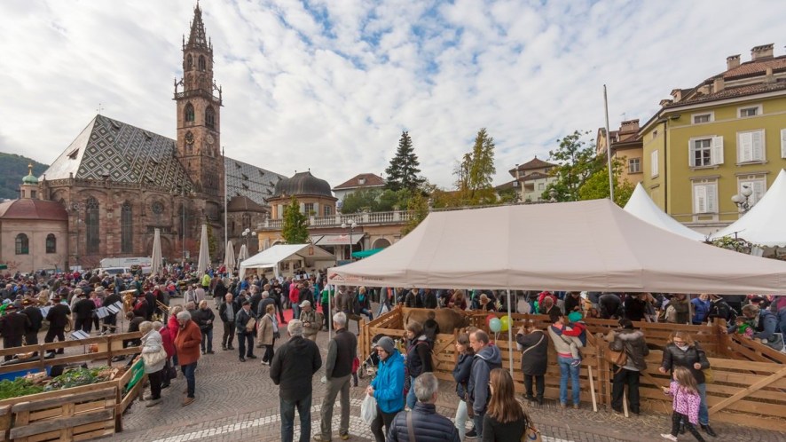 Dal tartufo alle mele, dal Lugana all’olio: 10 sagre ed eventi imperdibili nel weekend dal 16 al 18 ottobre