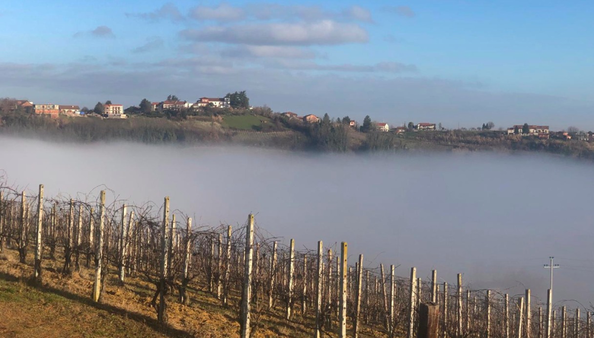 Paesaggio autunnale di Ricaldone