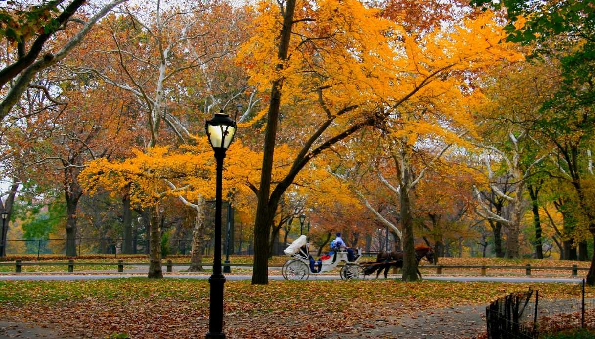 Giro in carrozza a Central Park in autunno