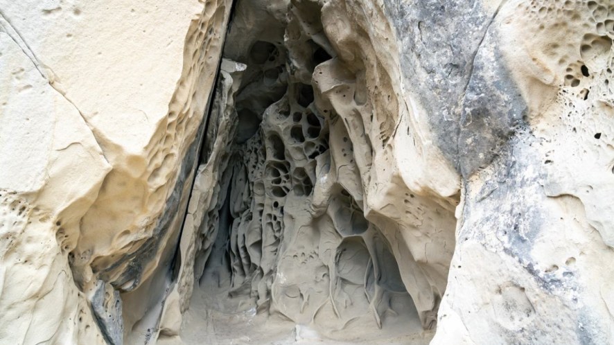 Un labirinto di pietra a forma di formaggio: le Grotte di Soprasasso sono un tesoro dell’Appennino bolognese