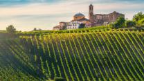 Tour enogastronomico del Monferrato: 3 giorni alla scoperta di borghi da fiaba, castelli e calici di felicità