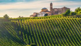 Tour enogastronomico del Monferrato: 3 giorni alla scoperta di borghi da fiaba, castelli e calici di felicità