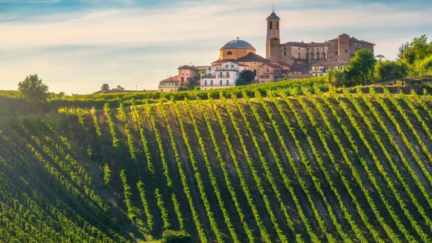 Tour enogastronomico del Monferrato: 3 giorni alla scoperta di borghi da fiaba, castelli e calici di felicità