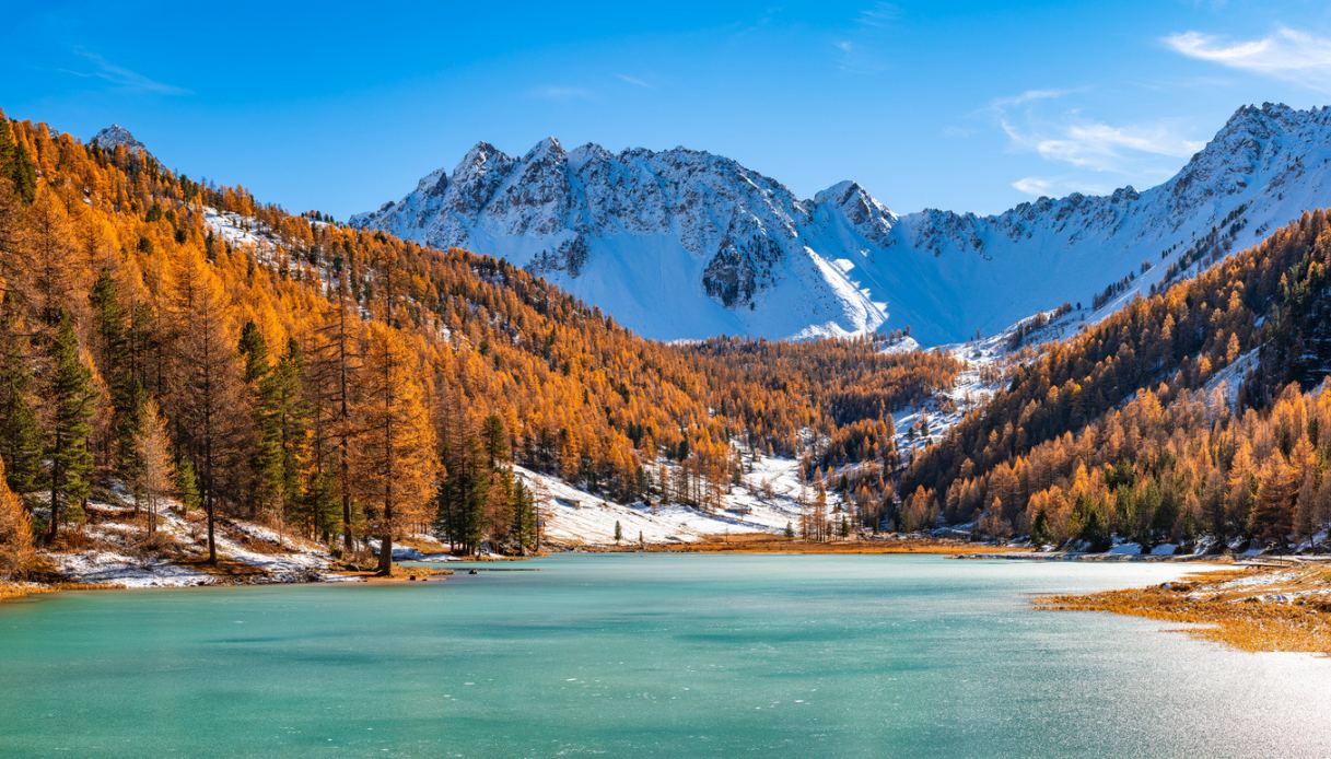 Larici del Lago dell'Orceyrette
