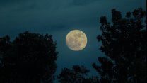 Una Superluna e tante stelle cadenti: novembre regala magici spettacoli nei cieli italiani