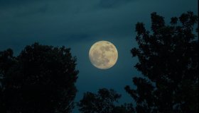 Una Superluna e tante stelle cadenti: novembre regala magici spettacoli nei cieli italiani