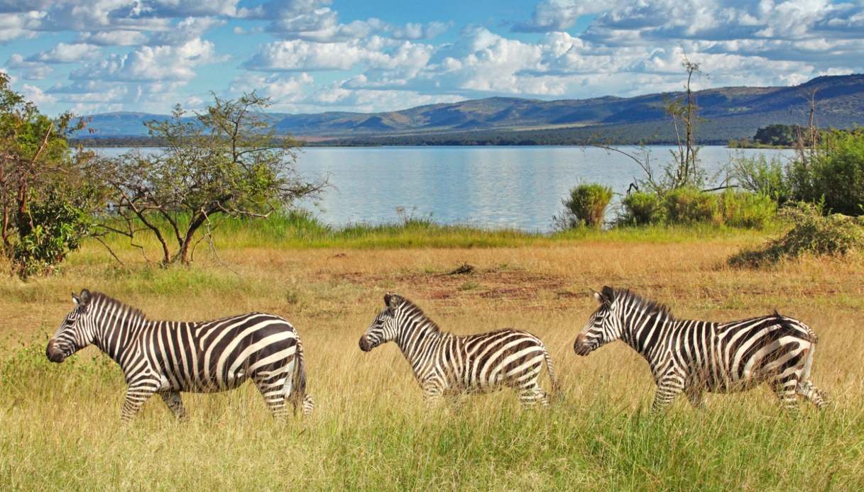 Cosa fare in Ruanda