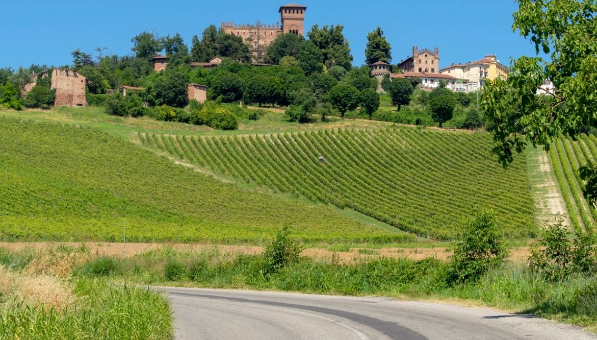 Vigneti vicino a Gabiano, Monferrato