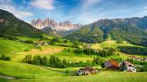 L’Italia pianta milioni di alberi: la nuova mappa del verde sorprende