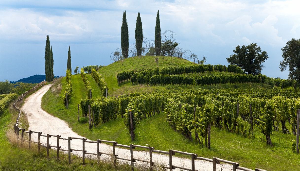 Vigne Museum a Manzano