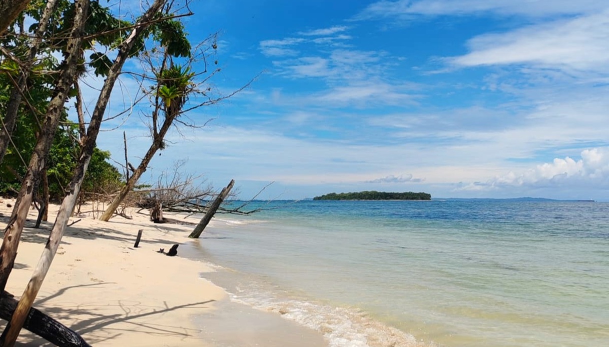 bocas del toro panama