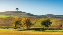 La Via Francigena in autunno: il tratto toscano a piedi tra borghi e boschi