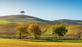 La Via Francigena in autunno: il tratto toscano a piedi tra borghi e boschi