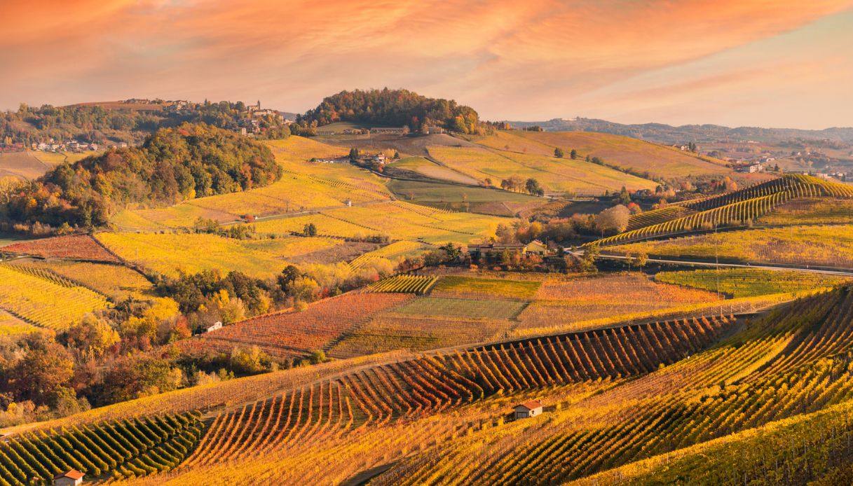 Incoronate le migliori regioni vinicole in Europa: l’Italia fa il pieno di posti in classifica