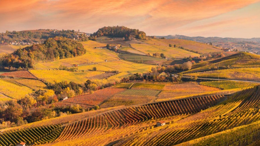 Incoronate le migliori regioni vinicole in Europa: l’Italia fa il pieno di posti in classifica