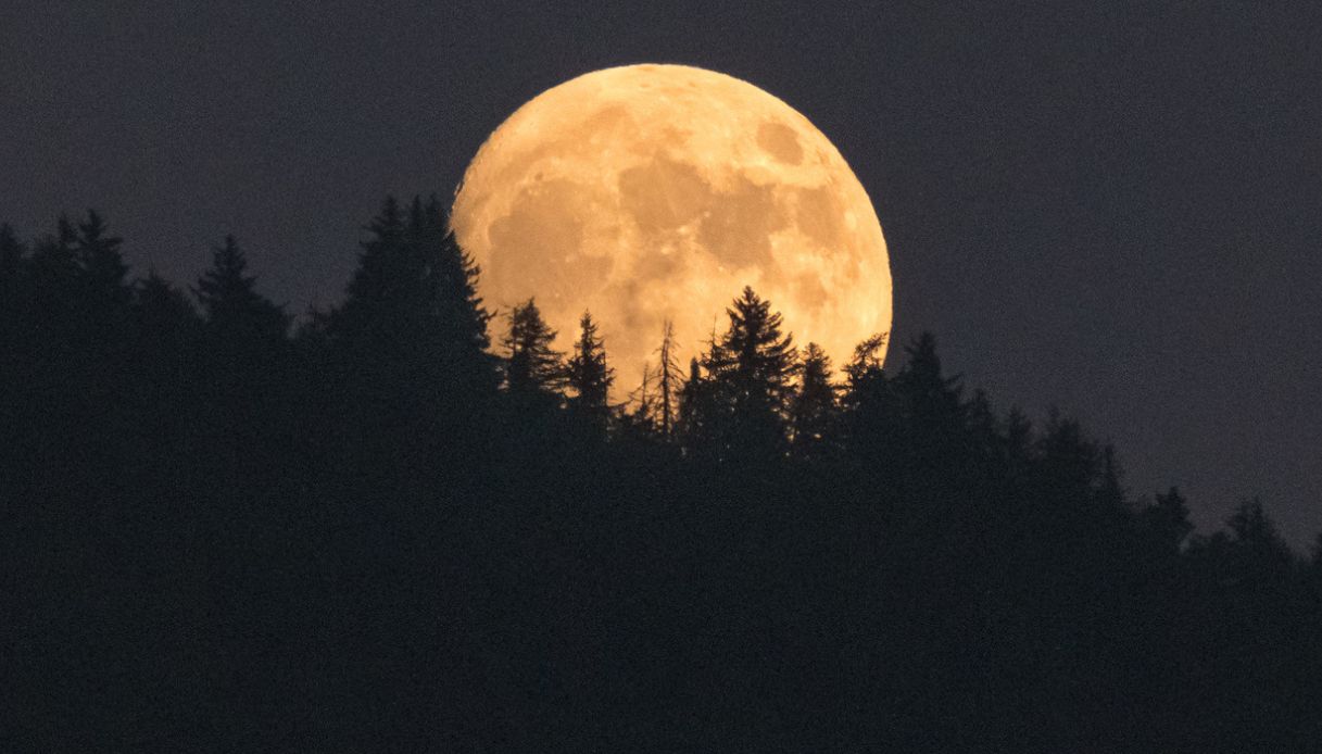 Luna piena che sorge dietro la foresta alpina
