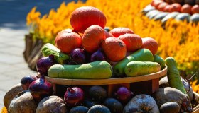 Sagre ed eventi di novembre in Campania, gli appuntamenti da non perdere