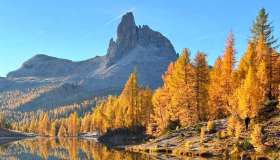 Foliage sulle Alpi: 5 sentieri per vedere i colori dell’autunno al momento giusto