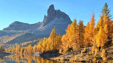 Foliage sulle Alpi: 5 sentieri per vedere i colori dell’autunno al momento giusto